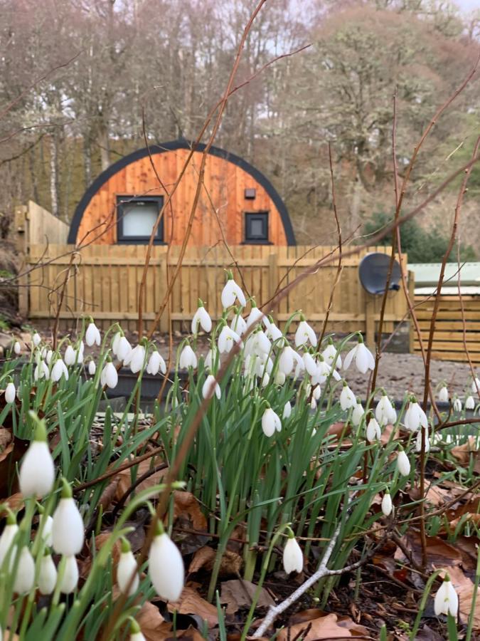 Hotel Loch Ness Woodland Pods Drumnadrochit Esterno foto