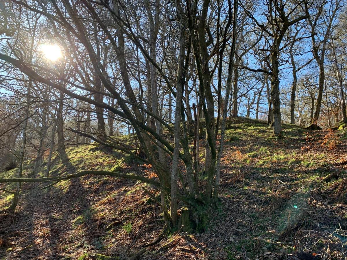 Hotel Loch Ness Woodland Pods Drumnadrochit Esterno foto